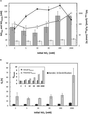 Haloferax mediterranei, an Archaeal Model for Denitrification in Saline Systems, Characterized Through Integrated Physiological and Transcriptional Analyses